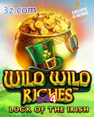 a44 slot wild wild riches